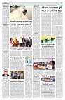 পাঁচ এর পাতা ঢাকা