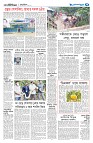 Dhaka 7